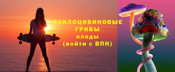 a pvp Алзамай