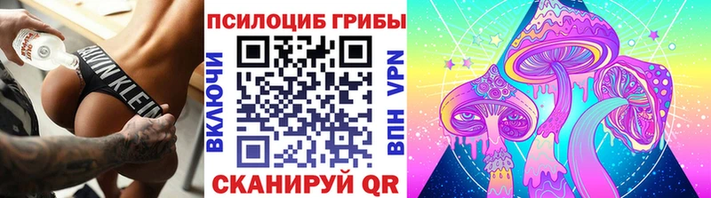 хочу Глазов Галлюциногенные грибы Magic Shrooms